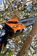 Emondor de înălțime pe baterie PELLENC SELION TELESCOPIC T220 - 300, 1200W, 220-300CM